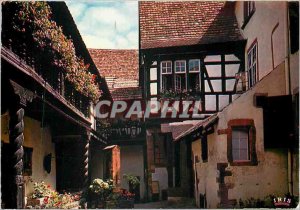 Modern Postcard Riquewihr Haut Rhin Court of Storks