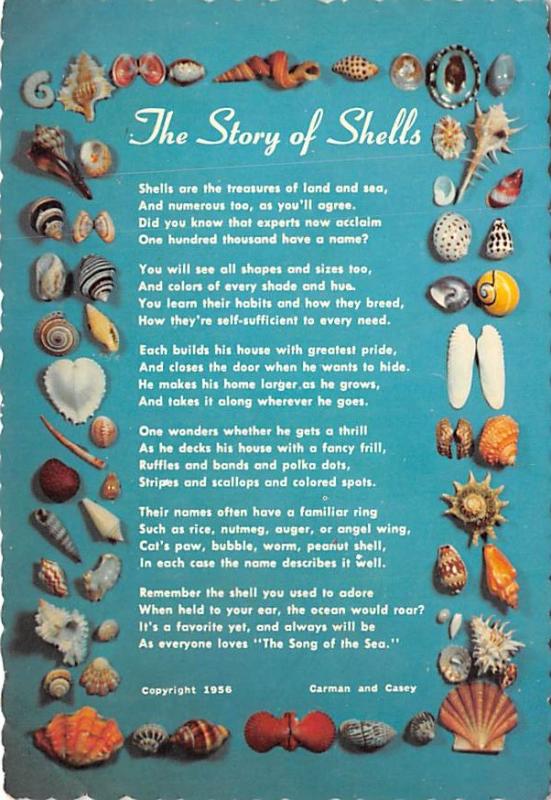 The Story of Shells - 