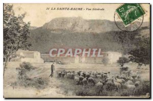 Old Postcard La Sainte Baume General view Sheep