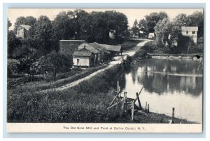 1909 The Old Grist Mill And Pond At Collins Center New York NY Antique Postcard