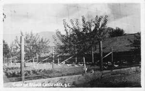 Chilliwack BC Canada Chicken Ranch Real Photo Vintage Postcard AA69614