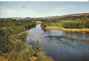 Northumberland Postcard - The North Tyne - Near Bellingham   A9849