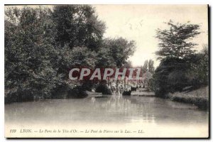 Old Postcard Lyon Tete d'Or Park The Stone Bridge Lake