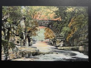 Durham DAIRY BRIDGE - ROKEBY c1903 Old Postcard by Valentine