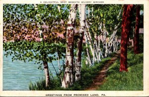 Pennsylvania Greetings From Promised Land