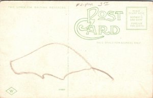 Senate Chamber Ansing Michigan Mi Interior Vintage Unposted Postcard 