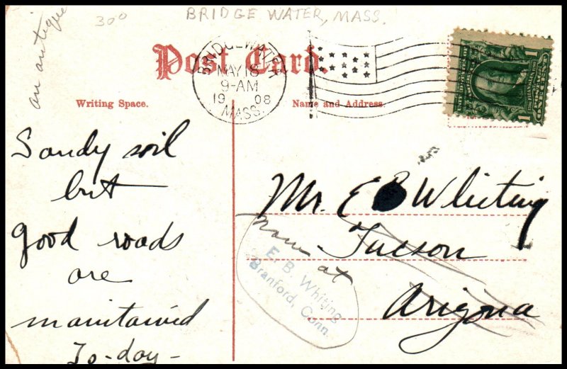 Souvenir From Bridgewater,MA Flowers BIN