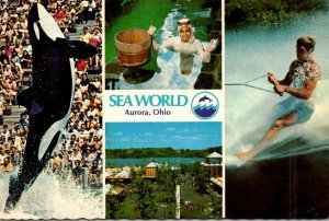 Ohio Aurora Sea World Multi View Shamu The Killer Whale and More