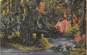 Sarasota Jungle gardens Sarasota FL Postcard