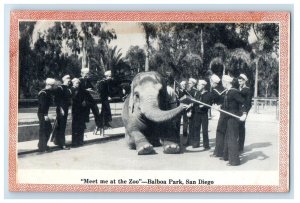Balboa Park Elephant Zoo San Diego California CA Unposted Vintage Postcard 