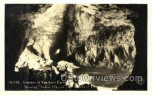 Real photo -Sea Lion Caves - Oregon OR  