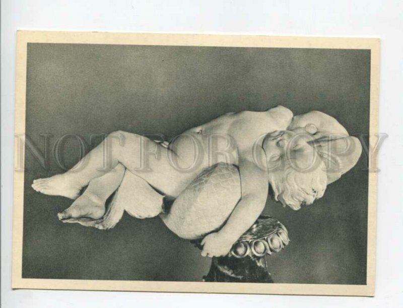 469628 1965 European sculpture Hermitage Lorenzo Lorenzetto Dead Boy on Dolphin