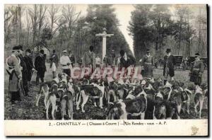 Old Postcard Hunting hounds Chantilly has an appointment Dogs Dog