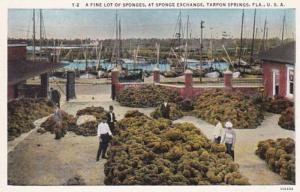 Florida Tarpon Springs A Fine Lot Of Sponges At Sponge Exchange Curteich