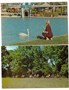 2 - Beech Bend Park, Bowling Green KY