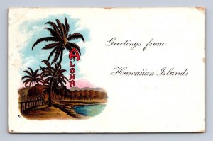 ALOHA GREETINGS FROM HAWAIIAN ISLANDS HAWAII POSTCARD 1917