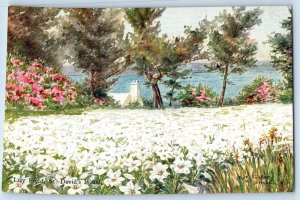 Hamilton Bermuda Postcard Lily Field St. David's Island c1920's C.F. Tucker Art