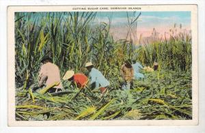 2238 Hawaiian Islands   Natives CUTTING Sugar Cane