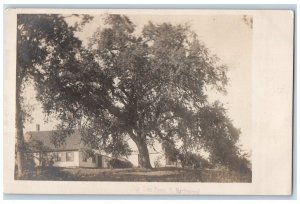 1905 Big Tree Farm View East Northwood Ridge NH RPPC Photo Posted Postcard 