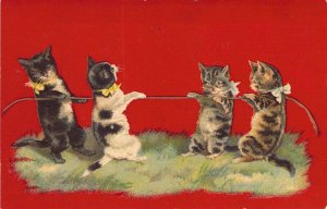 Early German Color Printing, Four Kittens Playing Tug of War, Old Postcard