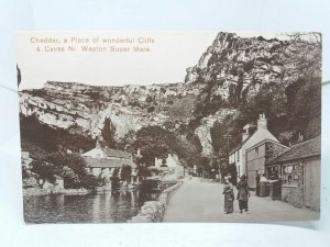 Ladies Looking in Village Store Cheddar Somerset Vintage Antique Postcard c1910