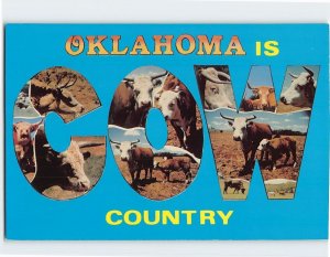 Postcard Oklahoma Is Cow Country Oklahoma USA