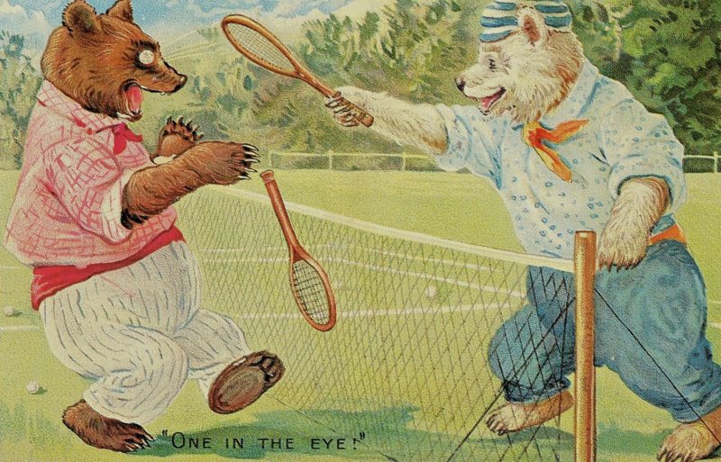 Postcard Anthromorphic Bears playing Tennis. 4 x 6.    L3