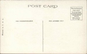 Crystal Beach Ontario On The Midway c1920 Postcard