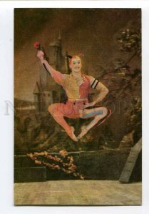 3069817 YAGUDIN Russia BALLET Star SWAN LAKE Photo