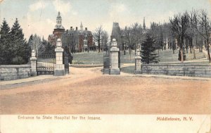 State Hospital for the Insane - Middletown, NY Asylum 1906 Vintage Postcard