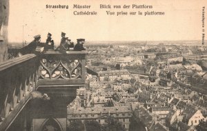 Vintage Postcard Strassburg Munster Blick Von Der Plattform Cathedrale Vue Prise