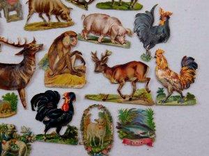 Lot 27 of Embossed Victorian Die-Cut Animals Polar Bear Pig Walrus Monkey CD68