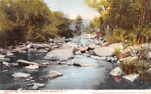 Below the Tannery Dam North Branch, New York