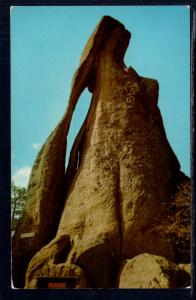 Needle's Eye,Black Hills,SD BIN