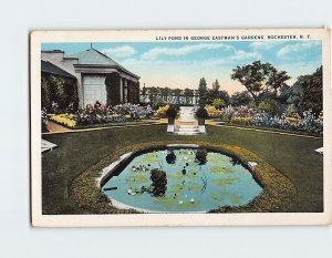 Postcard Lily Pond In George Eastmans Gardens Rochester New York USA