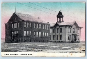 Appleton Minnesota Postcard School Buildings Exterior View c1910 Vintage Antique