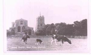 Abbey Church East View Cattle Elstow Bedfordshire UK RPPC Real Photo postcard