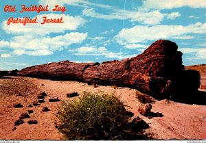 New Mexico Petrified Forest National Park Old Faithful Log