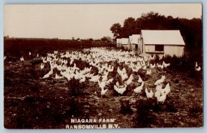 c1910's Niagara Chick Farm Ransomville New York NY RPPC Photo Antique Postcard