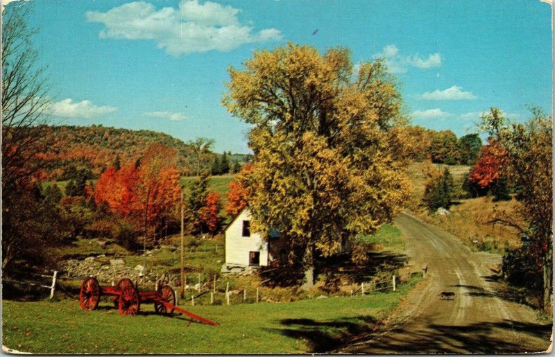 Fall View Vermont VT Old Road Farm House Dog Postcard VTG UNP Vintage Unused 