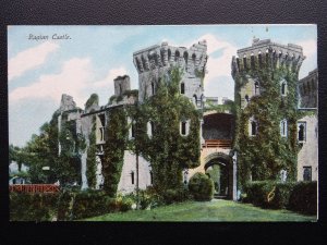 Monmouthshire RAGLAN CASTLE - Old Postcard by The Woodbury Series 12108