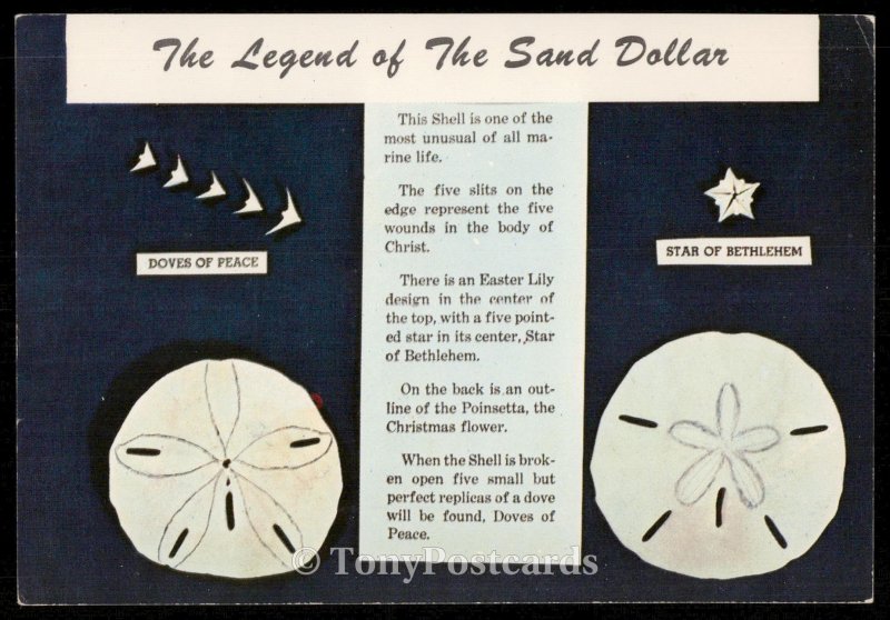 The Legend of The Sand Dollar