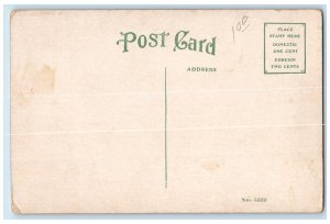 c1910 Northern Illinois State Normal Training School DeKalb Illinois IL Postcard