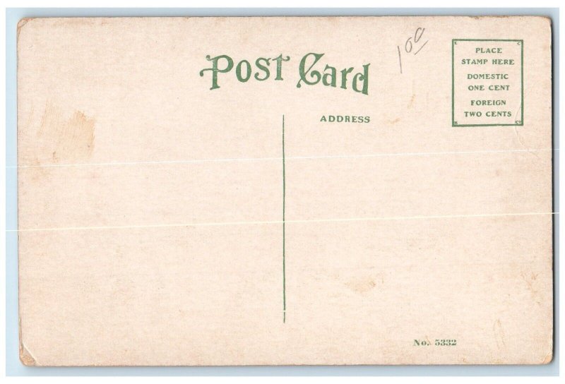 c1910 Northern Illinois State Normal Training School DeKalb Illinois IL Postcard