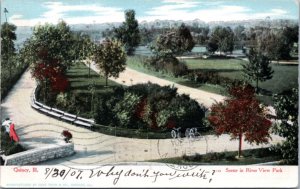 Postcard IL Quincy  - Scene in River View Park