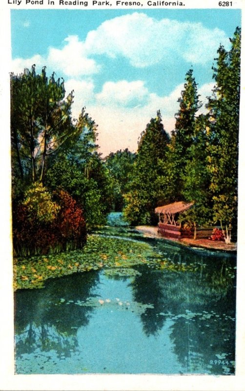 California Fresno Lily Pond In Reading Park Curteich