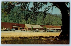 Hoopa California CA Postcard Hoopa Valley Shipping Center c1960 Vintage Antique