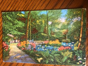 Postcard A Beauty Spot In The Ravine At Grant Park Milwaukee WI 1942 Vintage