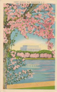 Cherry Blossom Time, Washington, DC - Spring Time View - pm 1948 - Linen