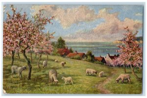 c1910 Sheep River Joyous Spring Unposted Embossed Oilette Tuck Art Postcard
